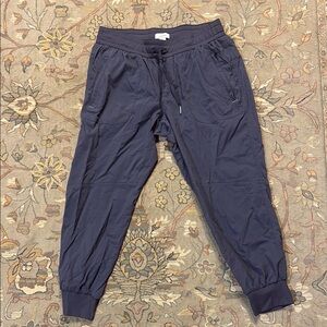 L.L. Bean Blue Joggers with Elastic Waistband and Tapered Legs